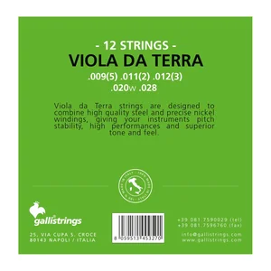 Galli Strings FG012 Viola da Terra Strings
