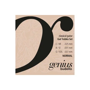 Galli Strings GR850 Genius Budello Guitar