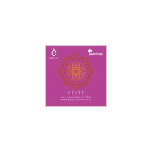 Galli Strings OUD850 Arabic CC Tuning GS