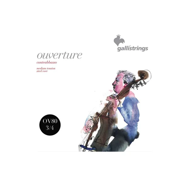 Galli Strings OV80-S 3/4 Double Bass Strings