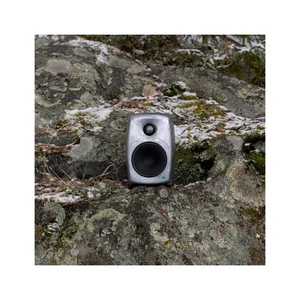 Genelec 8010 RAW