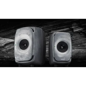Genelec 8010 RAW