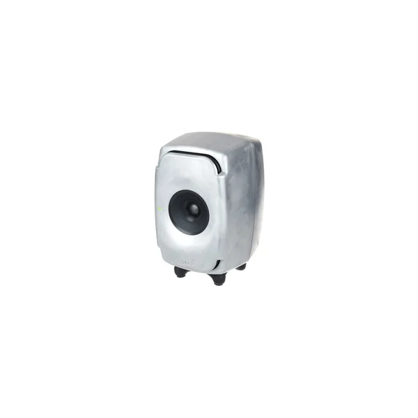 Genelec 8331 RAW