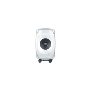 Genelec 8331 RAW