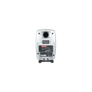 Genelec 8331 RAW