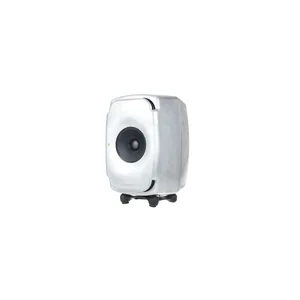 Genelec 8331 RAW