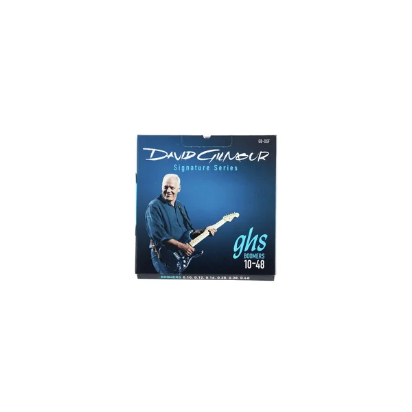 GHS David Gilmour String Set F