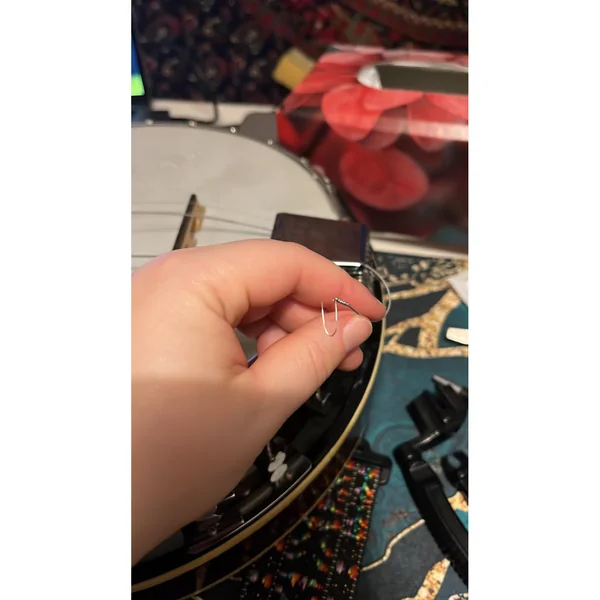GHS Professional PF120 Banjo Set