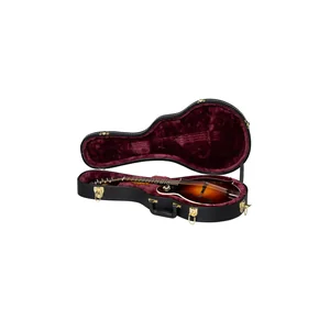 Gibson Custom F-5G Dark Burst