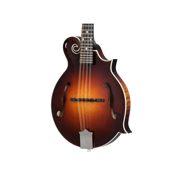 Gibson Custom F-5G Dark Burst