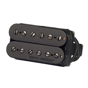 Gibson Dirty Fingers Onyx