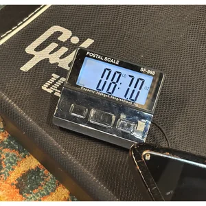Gibson Explorer Case Modern