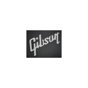 Gibson Firebird Case Modern