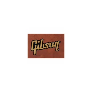 Gibson Flying V Case