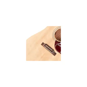 Gibson Hummingbird Special SN