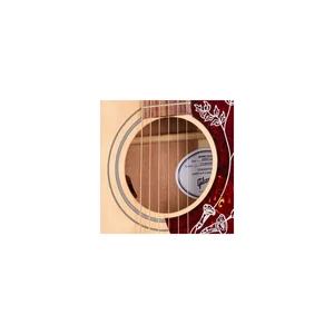 Gibson Hummingbird Special SN