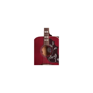 Gibson Hummingbird Special SWR