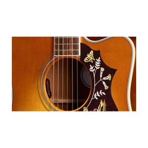 Gibson Hummingbird Standard EC HCS