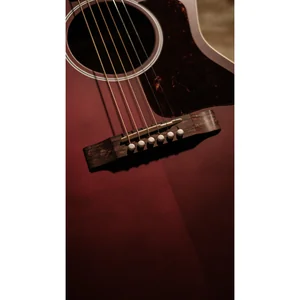 Gibson L-00 Special Wine Red