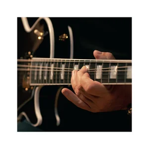 Gibson Les Paul Custom 70s Ebony