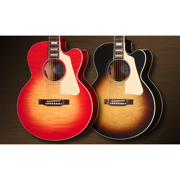 Gibson Les Paul Parlor Acoustic VCS