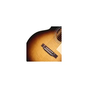 Gibson Les Paul Parlor Acoustic VS