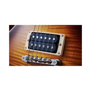 Gibson Les Paul Slash Standard AA LH
