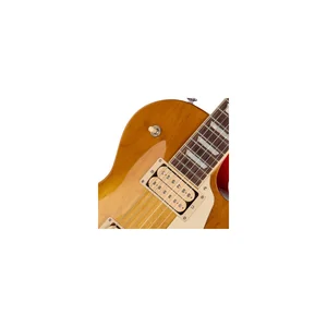 Gibson Les Paul Studio DT DLM