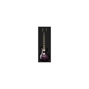 Gibson Les Paul Studio Session DPB