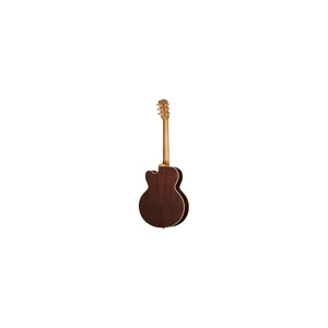 Gibson Parlor Rosewood EC RB