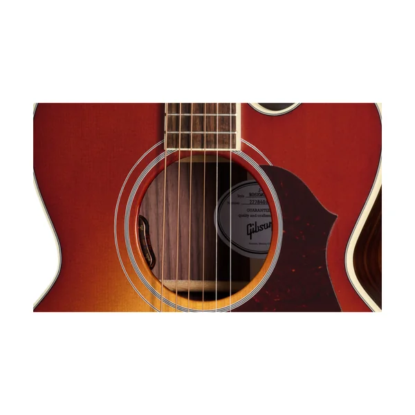 Gibson Parlor Rosewood EC RB