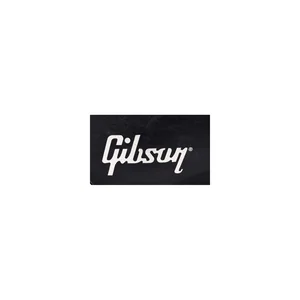 Gibson SG Case