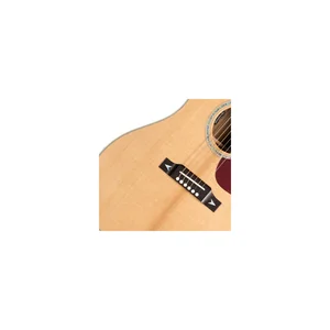 Gibson Songwriter Rec Artist AN