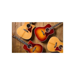 Gibson Songwriter Rec Artist EC RB