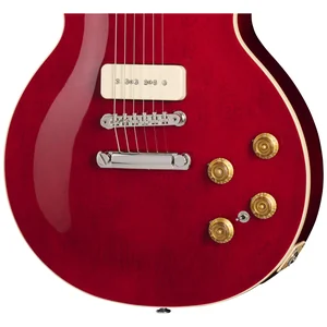 Gibson Warren Haynes Les Paul Std