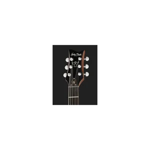 Harley Benton Agufish Standard STD BT BK