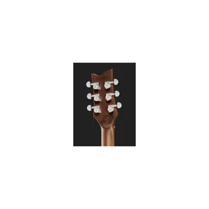Harley Benton Agufish Standard STD BT BK