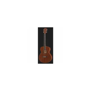 Harley Benton Blues Guitar Set 2
