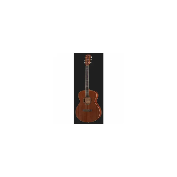 Harley Benton Blues Guitar Set 2