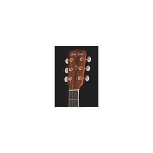 Harley Benton Blues Guitar Set 2