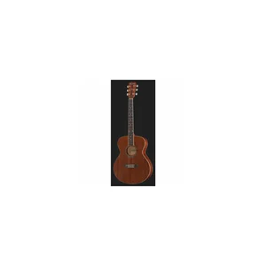 Harley Benton CG-45 NS