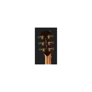 Harley Benton CLG-70ASR CE NAT AllSolid