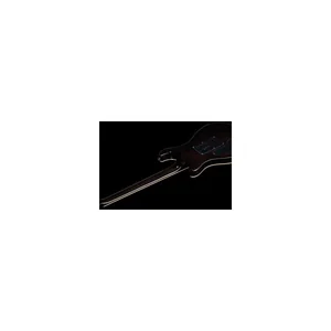 Harley Benton CST-24T Black Flame