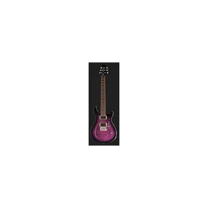 Harley Benton CST-24T Purple Burst w/Case