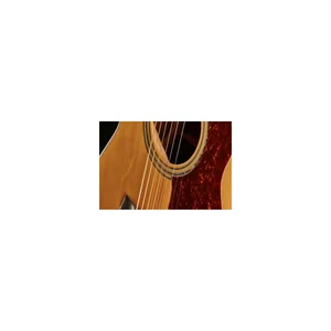 Harley Benton Custom Line CLG-48CE Wi Bundle