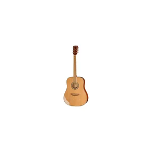 Harley Benton D-120NT