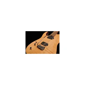 Harley Benton Fusion-T HH LH Roasted Bundle
