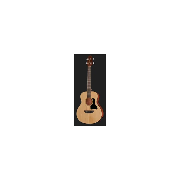 Harley Benton GS-Travel-E Bass Spruce Set