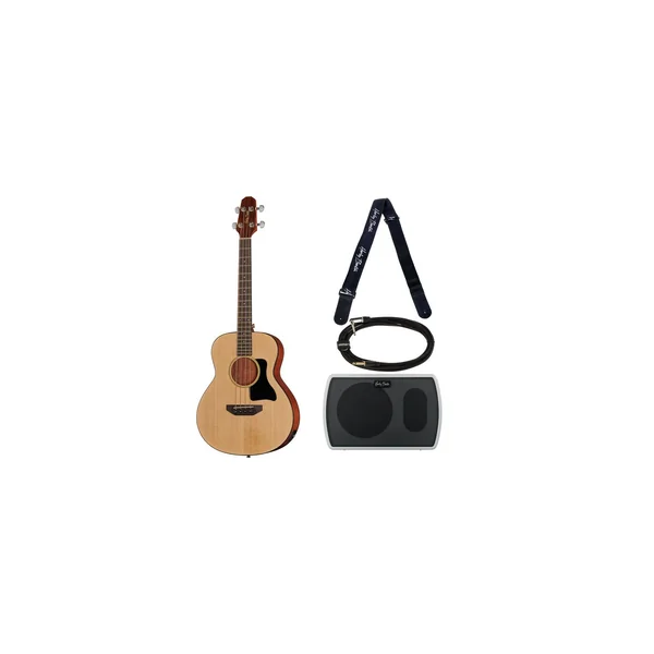 Harley Benton GS-Travel-E Bass Spruce Set