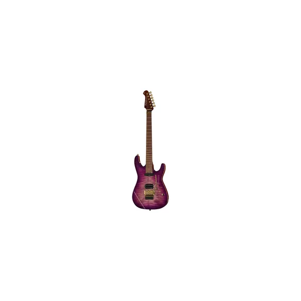 Harley Benton Guitar MAX Fusion Signa w/Case